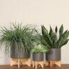 5" PLANTER W/ WOOD STAND, MATTE GRAY