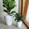 2-Pack Smart Self-watering Planter Pot for Indoor and Outdoor - White - Round Cone