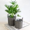 3-Pack Multi-purposes Basket with handler - Hand Woven Wicker - Gray