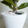 2-Pack Smart Self-watering Planter Pot for Indoor and Outdoor - White - Round Cone