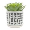 S/2 5/6" AZTEC PLANTER W/ SAUCER, BLACK