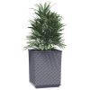 Planters 2 pcs Dark Gray 11.8"x11.8"x14.6" Polypropylene